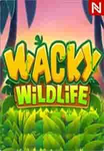 Wacky Wildlife